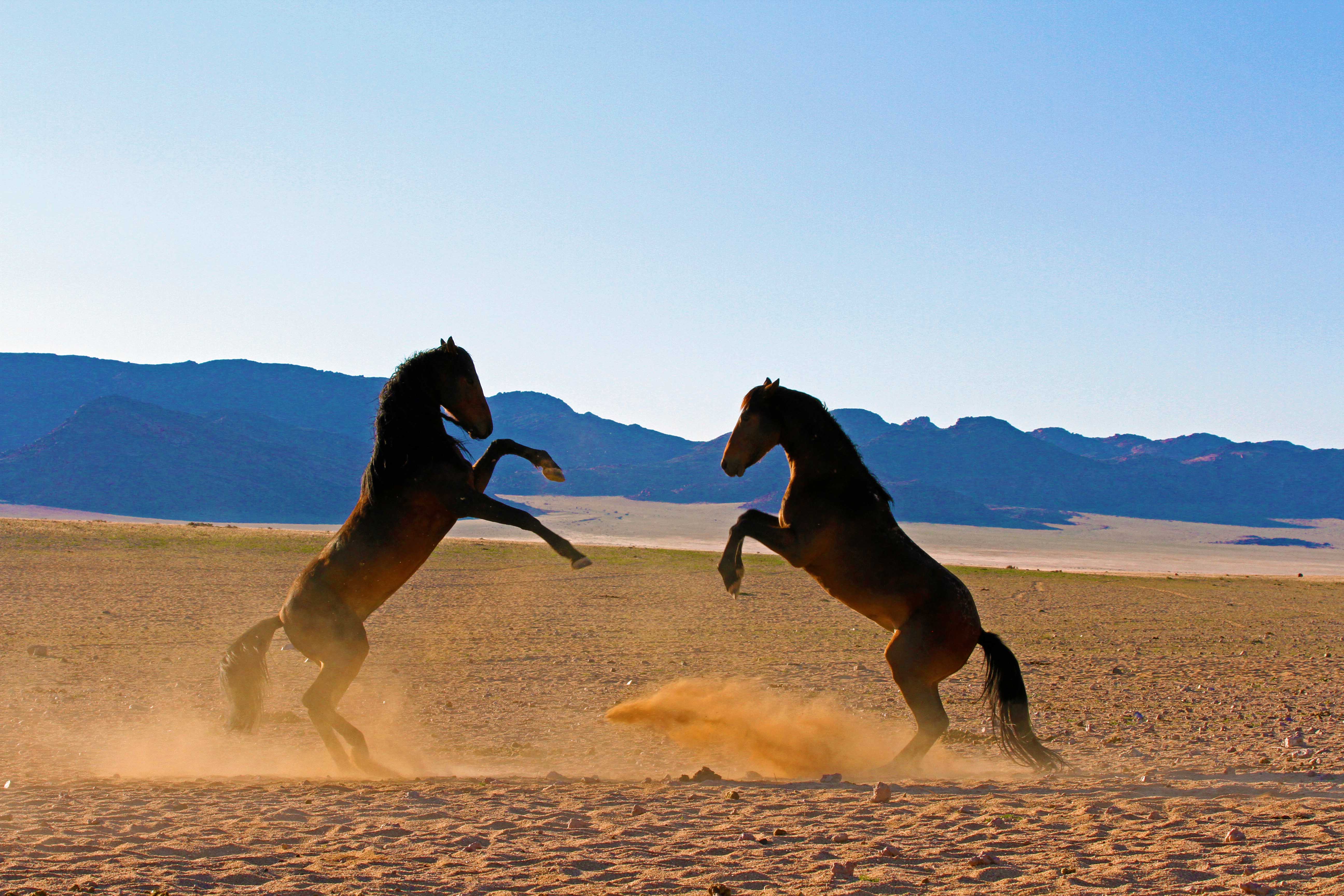 On the brink (photo Telane Greyling)